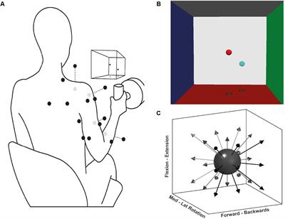 Fatigue Influences the Recruitment, but Not Structure, of Muscle Synergies